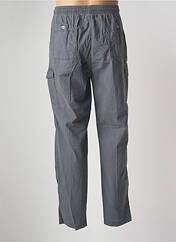 Pantalon cargo gris STORMY LIFE pour homme seconde vue