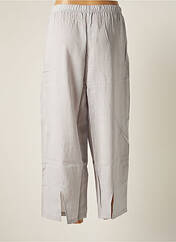 Pantacourt gris G!OZE pour femme seconde vue