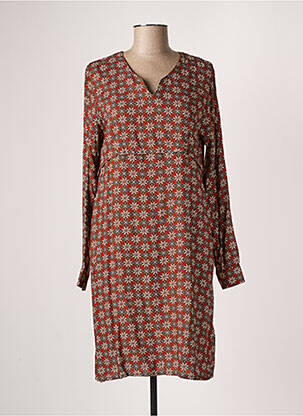 Robe mi-longue imprimé fantaisie manches longues marron DIPLODOCUS femme