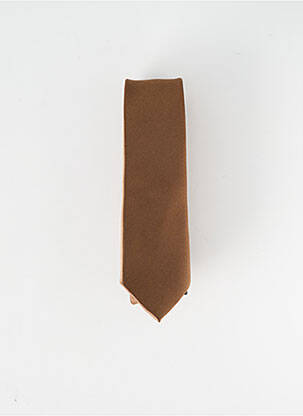 Cravate marron VIRTUOSE pour homme