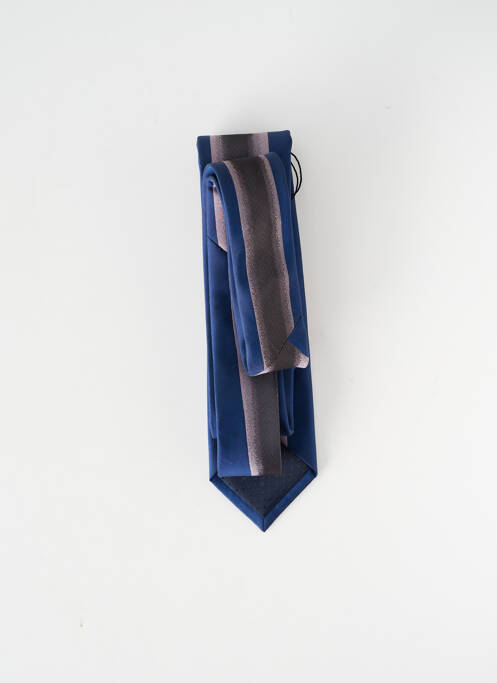 Cravate bleu ELIOS homme