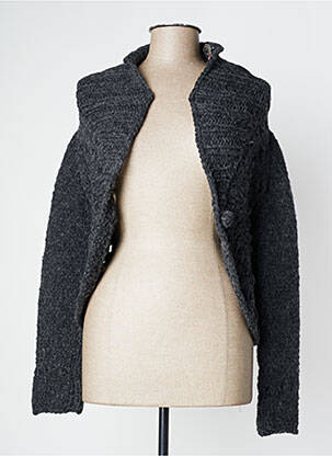 Gilet manches longues col châle gris TRICOT CHIC femme