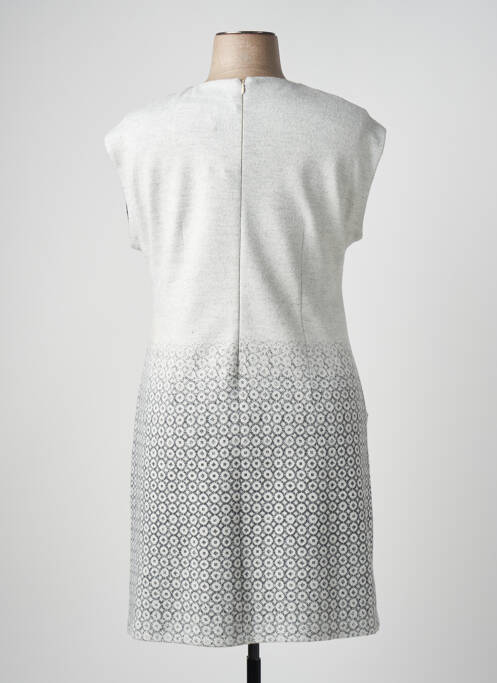 Robe mi-longue gris ET COMPAGNIE pour femme
