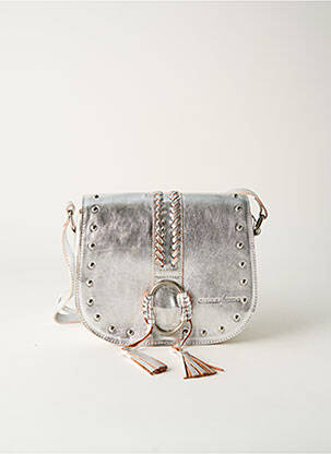Sac argent CHARLAY STONE pour femme