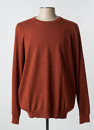 Pull marron SAINT JAMES pour homme