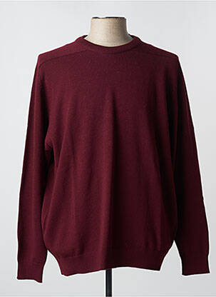 Pull violet LEPOUTRE pour homme