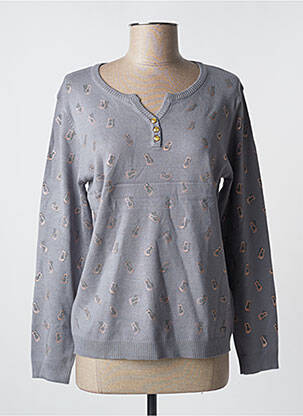 Pull coupe cintrée manches longues gris FELINO femme