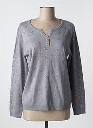 Pull coupe cintrée manches longues gris FELINO femme