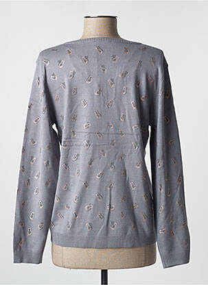Pull coupe cintrée manches longues gris FELINO femme