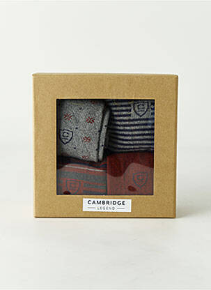 Chaussettes gris CAMBRIDGE pour homme