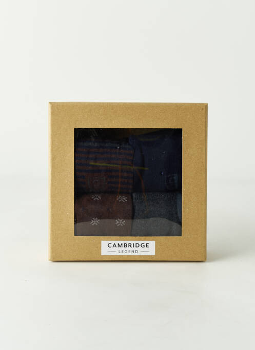 Chaussettes gris CAMBRIDGE pour homme