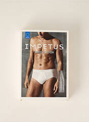 Slip gris IMPETUS pour homme seconde vue