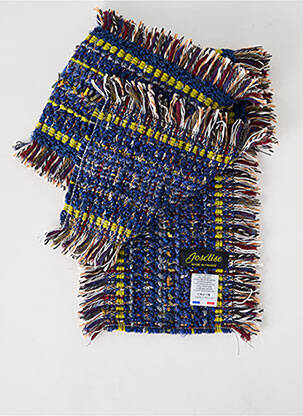 Echarpe imprimé fantaisie bleu JOSÉLISE femme