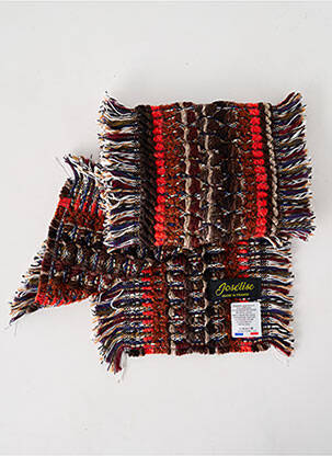 Echarpe imprimé fantaisie marron JOSÉLISE femme