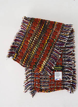 Echarpe imprimé fantaisie marron JOSÉLISE femme