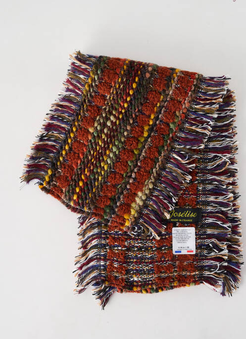 Echarpe marron JOSÉLISE pour femme
