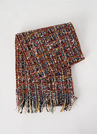 Echarpe imprimé fantaisie marron JOSÉLISE femme