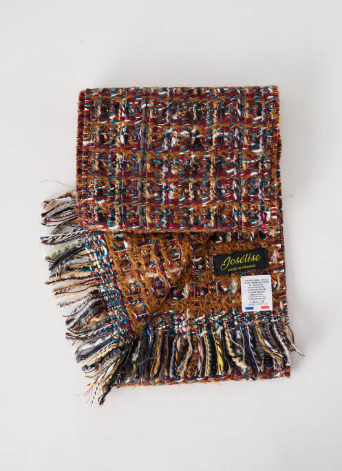 Echarpe marron JOSÉLISE pour femme