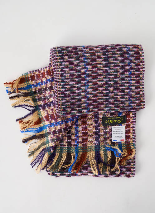 Echarpe violet JOSÉLISE pour femme
