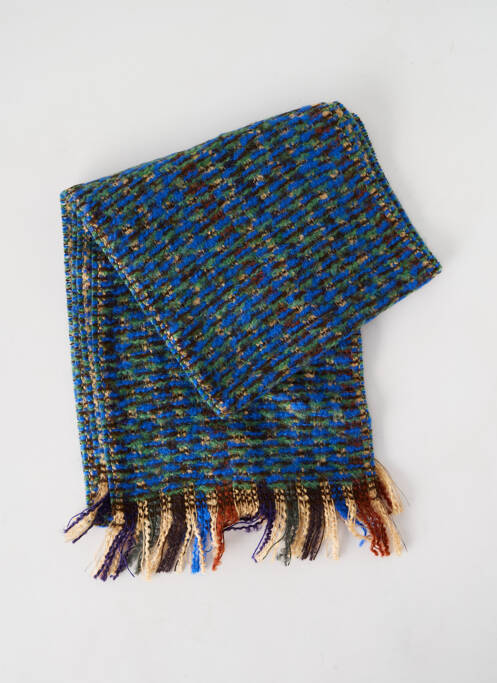 Echarpe bleu JOSÉLISE pour femme