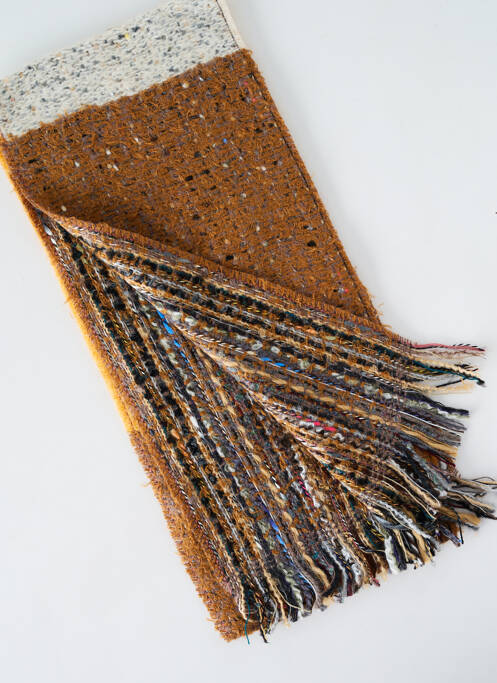 Echarpe marron JOSÉLISE pour femme