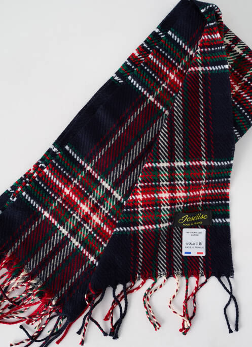 Echarpe bleu JOSÉLISE pour femme