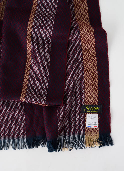 Echarpe violet JOSÉLISE pour femme