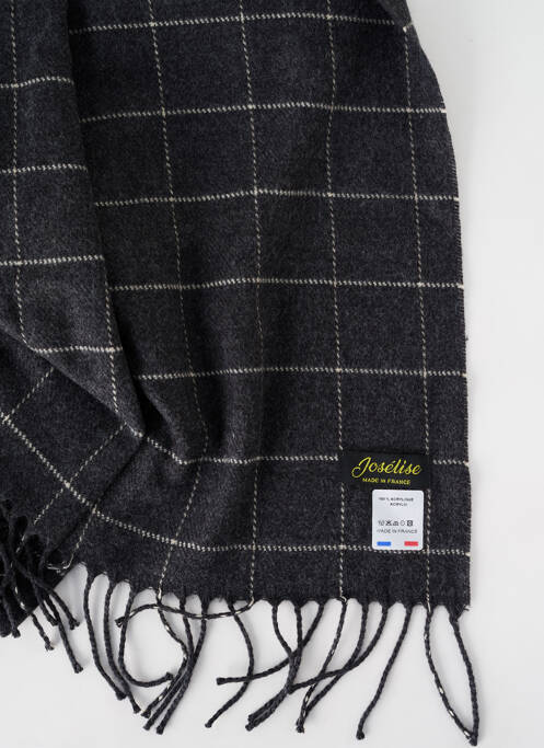 Echarpe gris JOSÉLISE pour femme