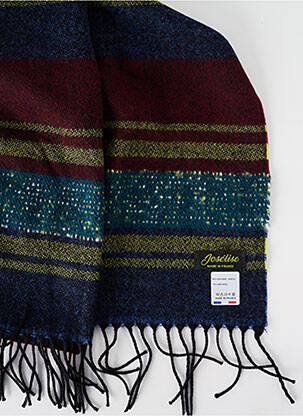 Echarpe imprimé fantaisie bleu JOSÉLISE femme