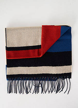 Echarpe bleu JOSÉLISE pour femme