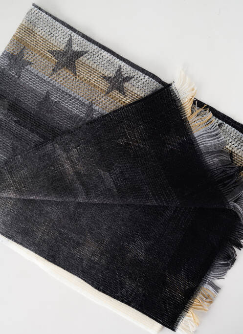 Echarpe gris JOSÉLISE pour femme