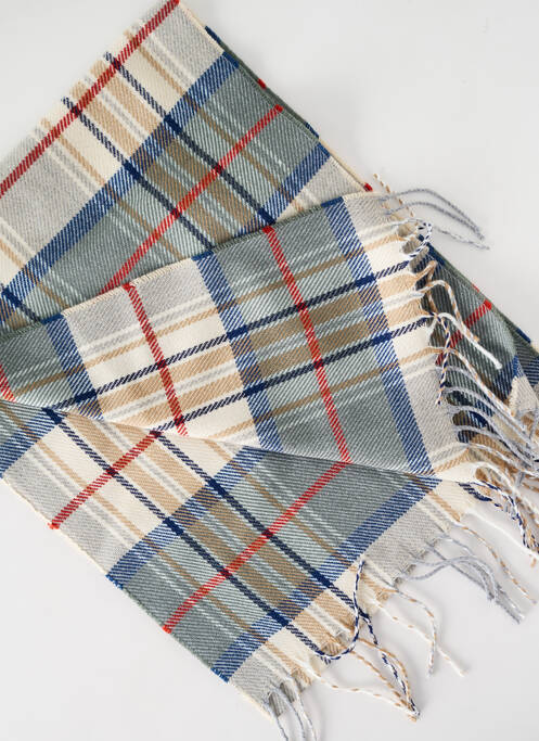 Echarpe bleu JOSÉLISE pour femme