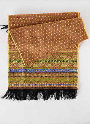 Echarpe imprimé fantaisie marron JOSÉLISE femme