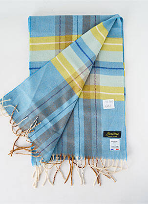 Echarpe imprimé fantaisie bleu JOSÉLISE femme