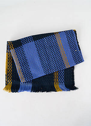 Echarpe imprimé fantaisie bleu JOSÉLISE femme