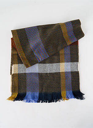 Echarpe vert JOSÉLISE pour femme