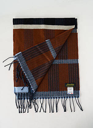 Echarpe imprimé fantaisie marron JOSÉLISE femme
