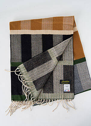Echarpe imprimé fantaisie marron JOSÉLISE femme