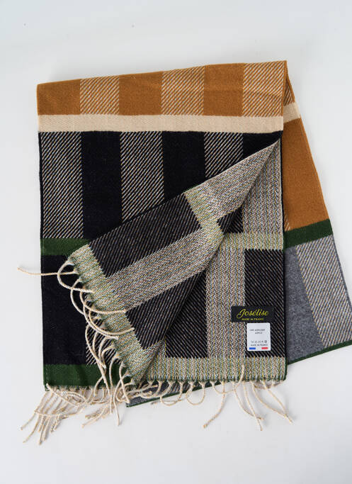 Echarpe marron JOSÉLISE pour femme