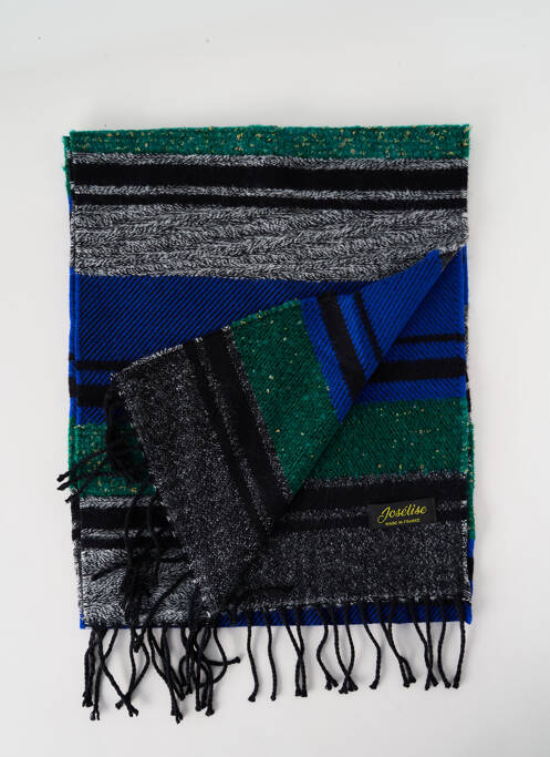 Echarpe bleu JOSÉLISE pour femme