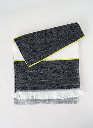Echarpe imprimé fantaisie gris JOSÉLISE femme