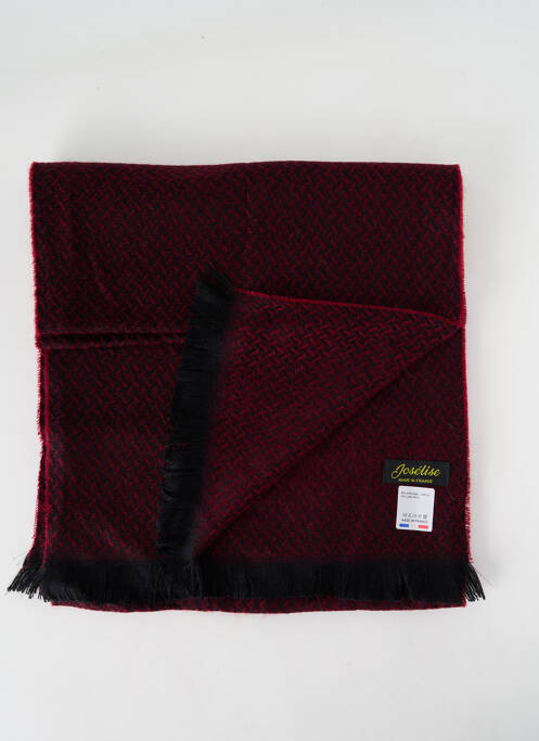 Echarpe violet JOSÉLISE pour femme