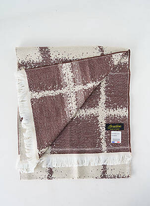 Echarpe imprimé fantaisie marron JOSÉLISE femme