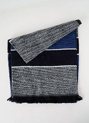 Echarpe imprimé fantaisie bleu JOSÉLISE femme