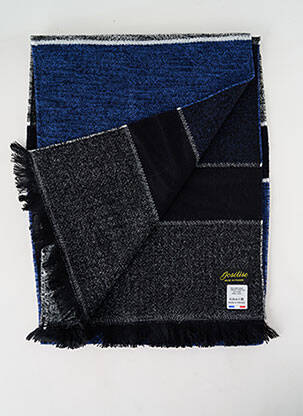 Echarpe imprimé fantaisie bleu JOSÉLISE femme