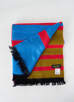 Echarpe imprimé fantaisie bleu JOSÉLISE femme
