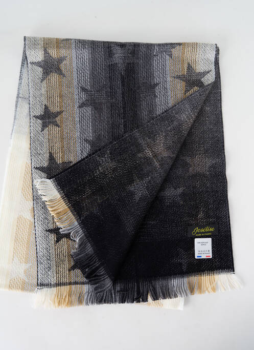 Echarpe gris JOSÉLISE pour femme