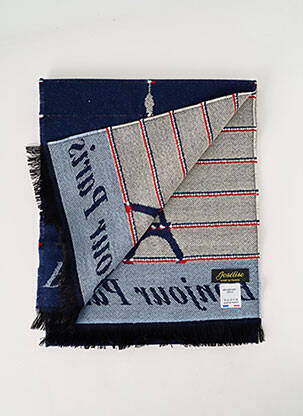Echarpe imprimé fantaisie bleu JOSÉLISE femme
