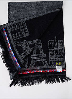 Echarpe imprimé fantaisie gris JOSÉLISE femme