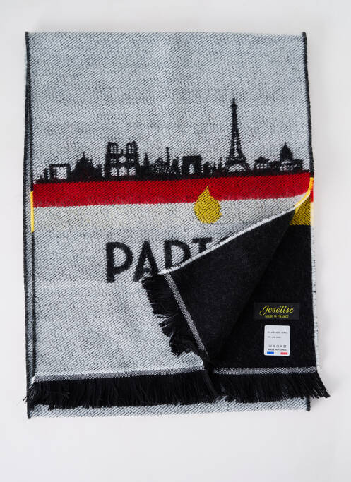 Echarpe gris JOSÉLISE pour femme
